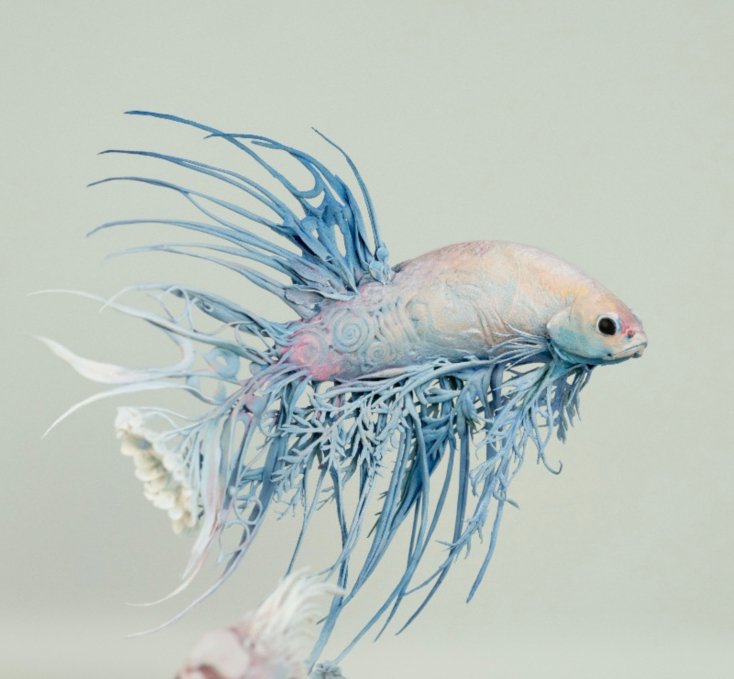 icon-betta.jpg