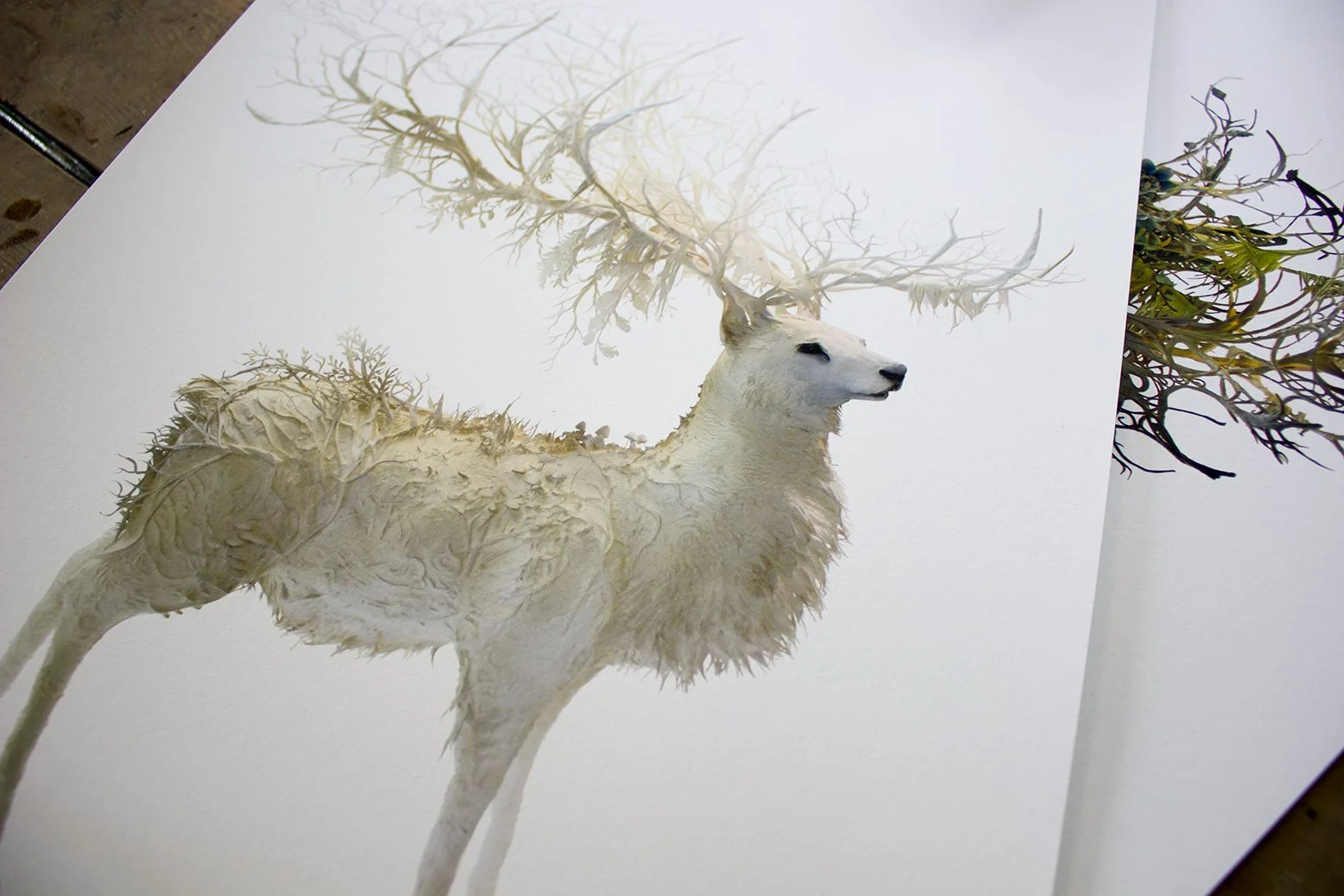 deer3.jpg