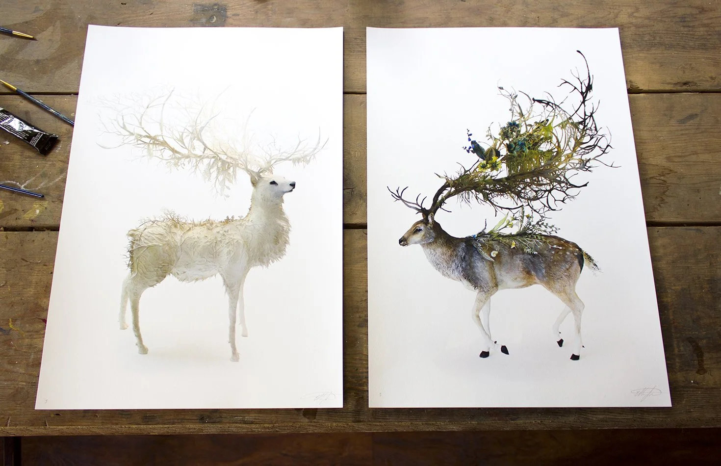 doubledeer.jpg