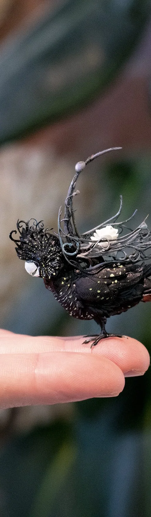 cockatoo1.jpg