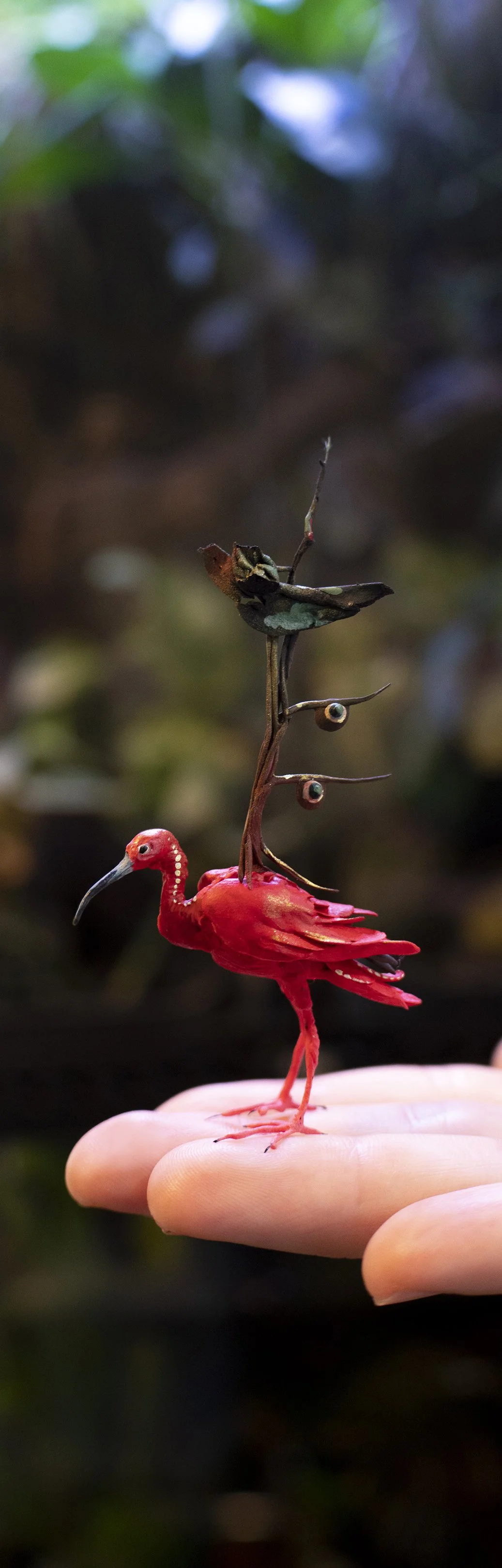 ibis1.jpg