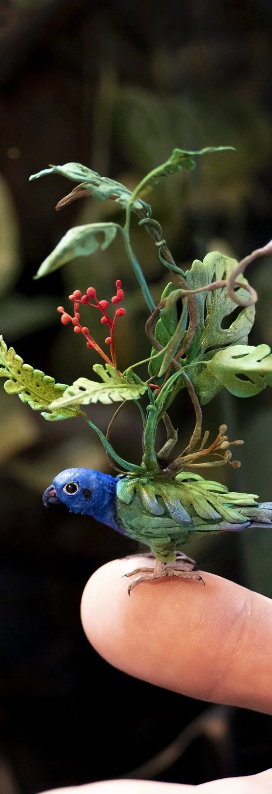 pionus1.jpg