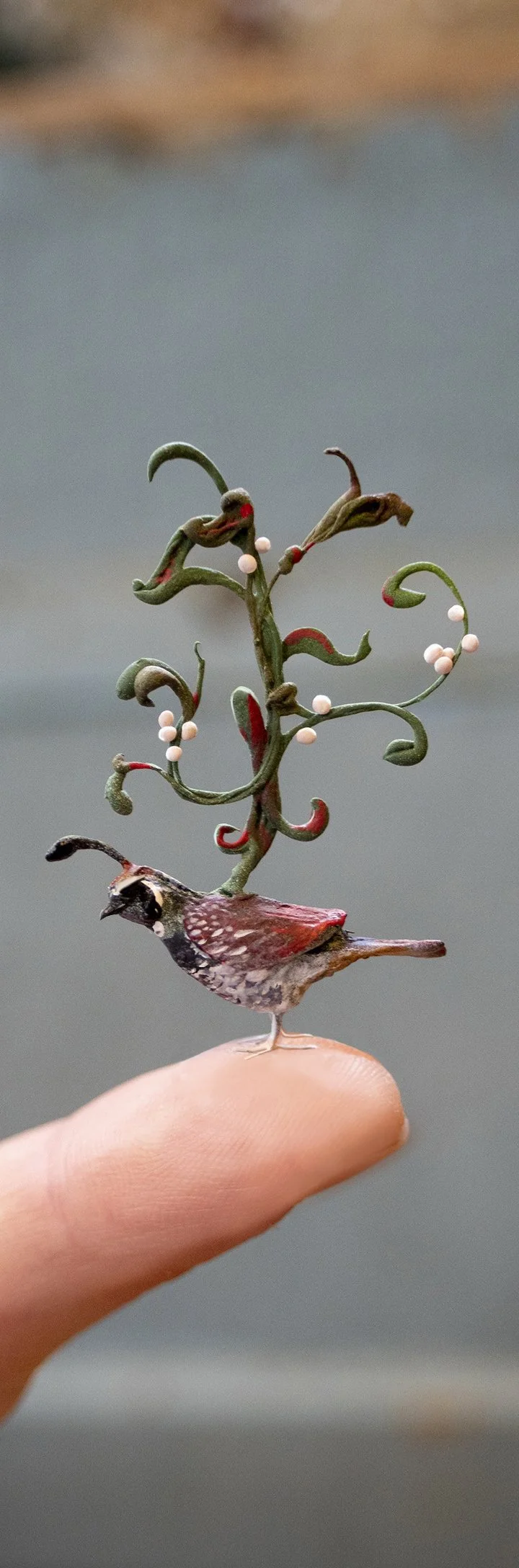 quail1.jpg