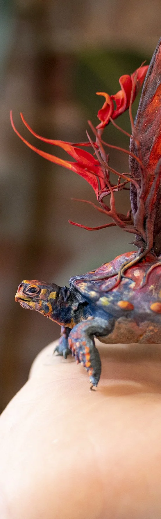 turtle1.jpg