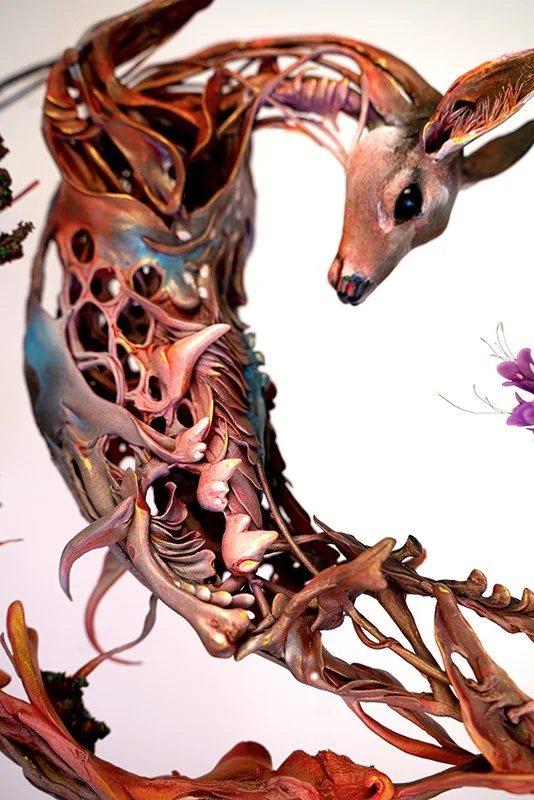 deer2.jpg