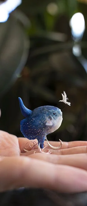 mola2.jpg