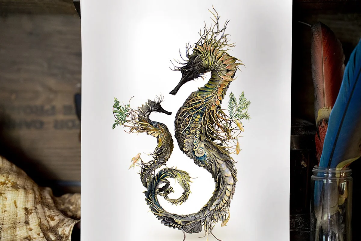 littleseahorse2.jpg