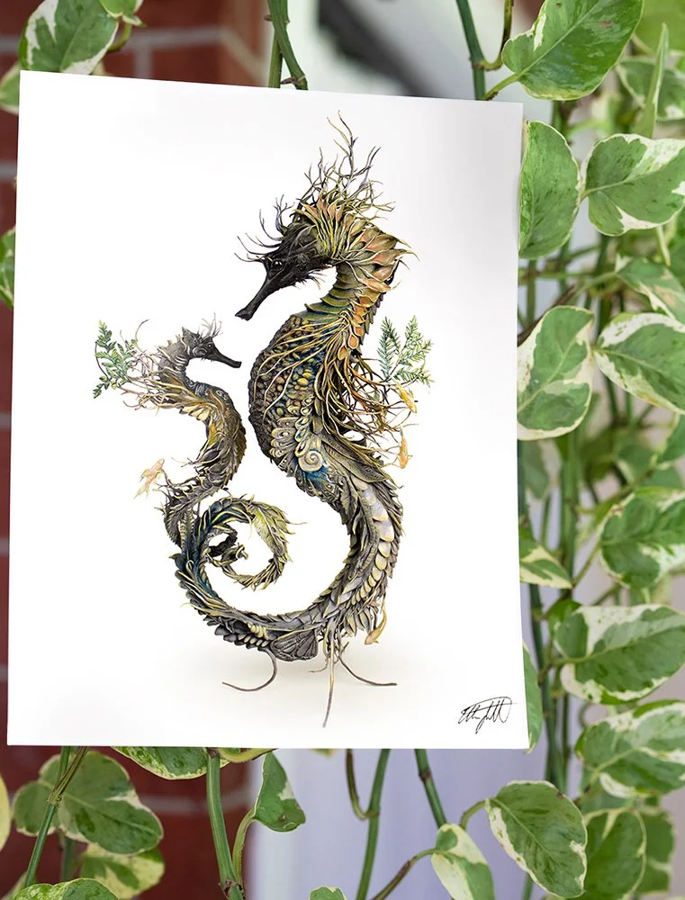 littleseahorse.jpg