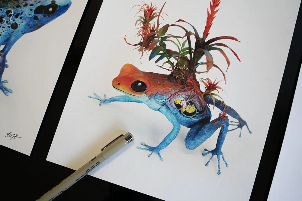 frog 2 - grp.jpg