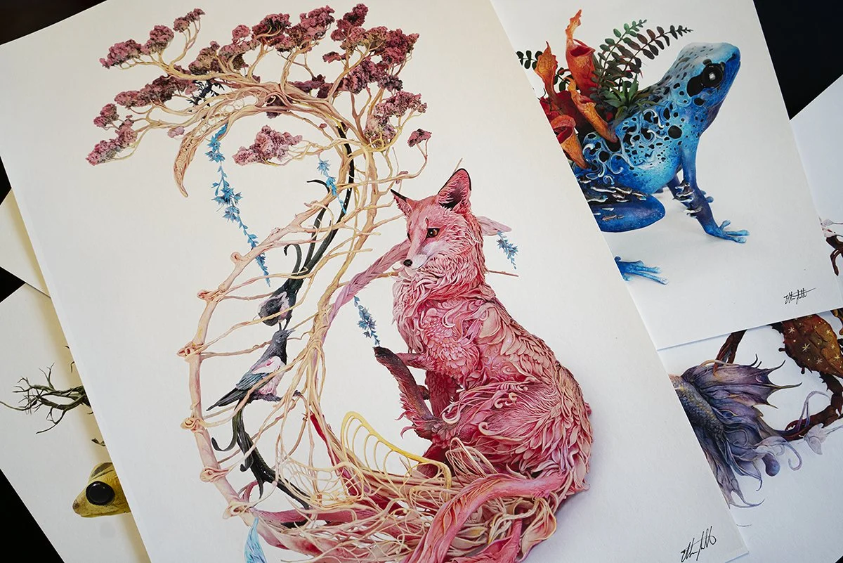 Vulpes anima - grp.jpg