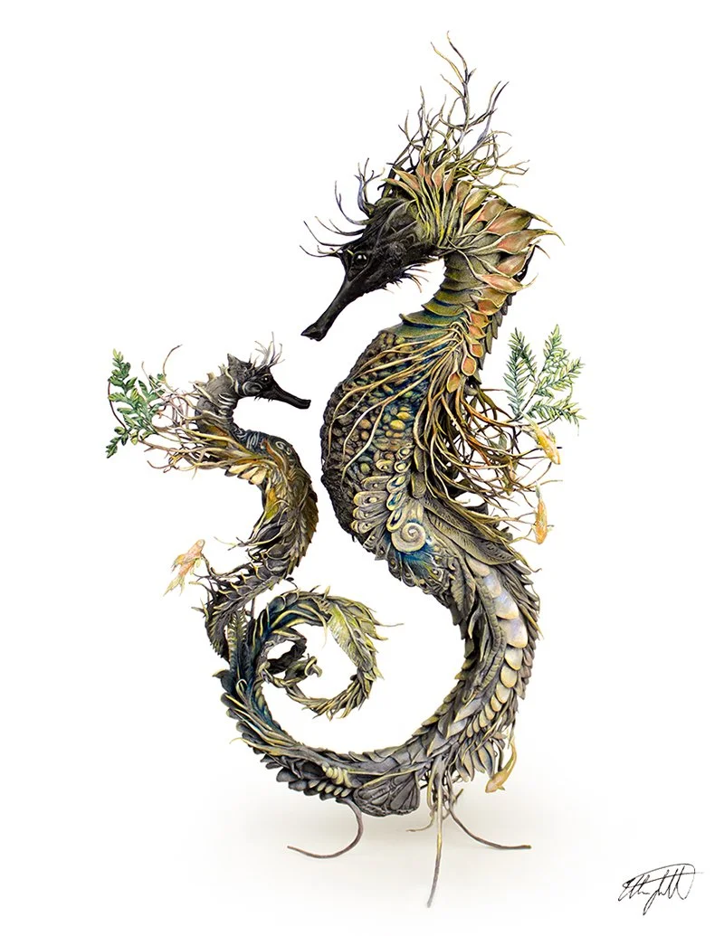 littleseahorse1.jpg
