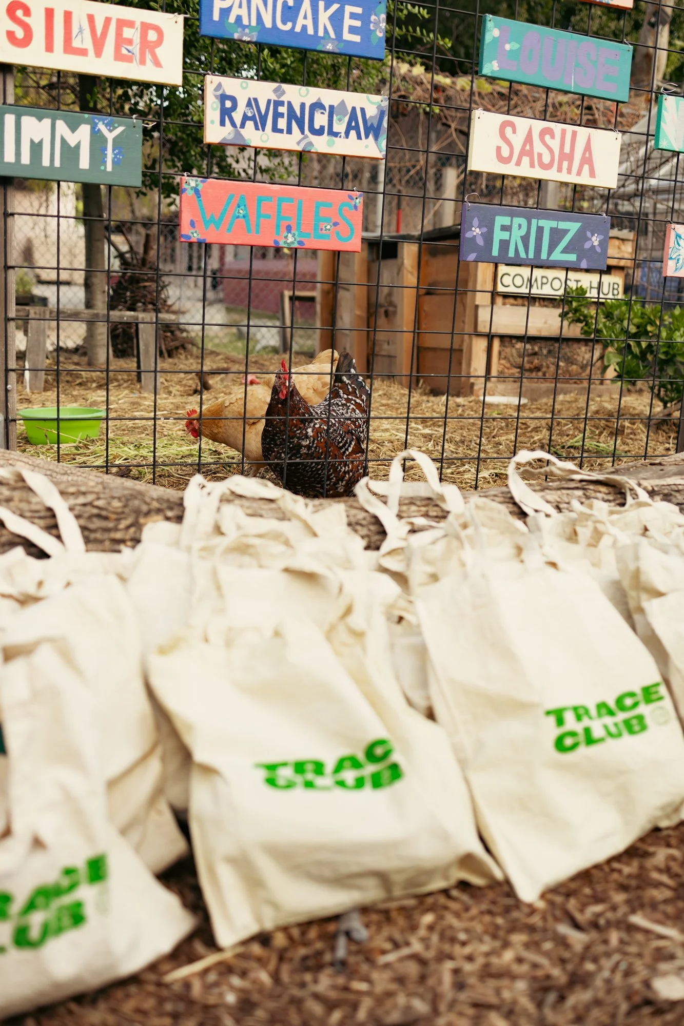  Multiple white tote bags with green TRACE CLUB printed on them are in the foreground.