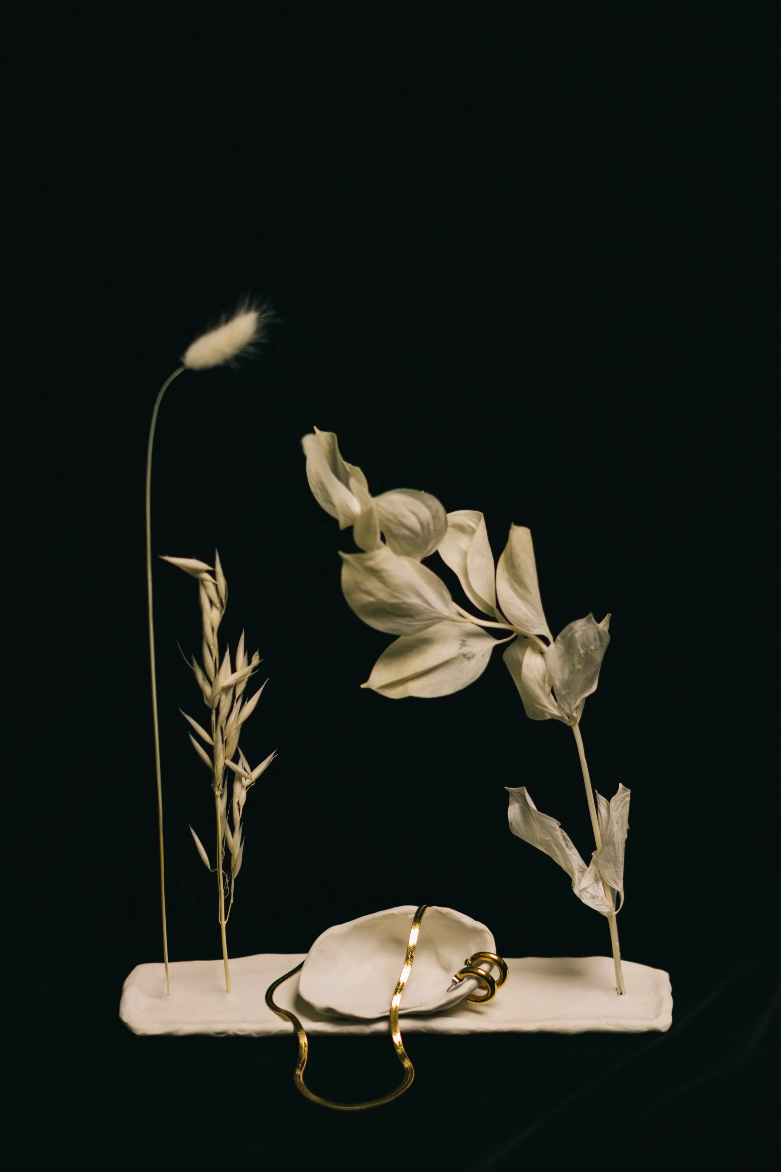 Decorative arrangement with dried white plants, gold jewelry, and a white object on a white base against a dark background.
