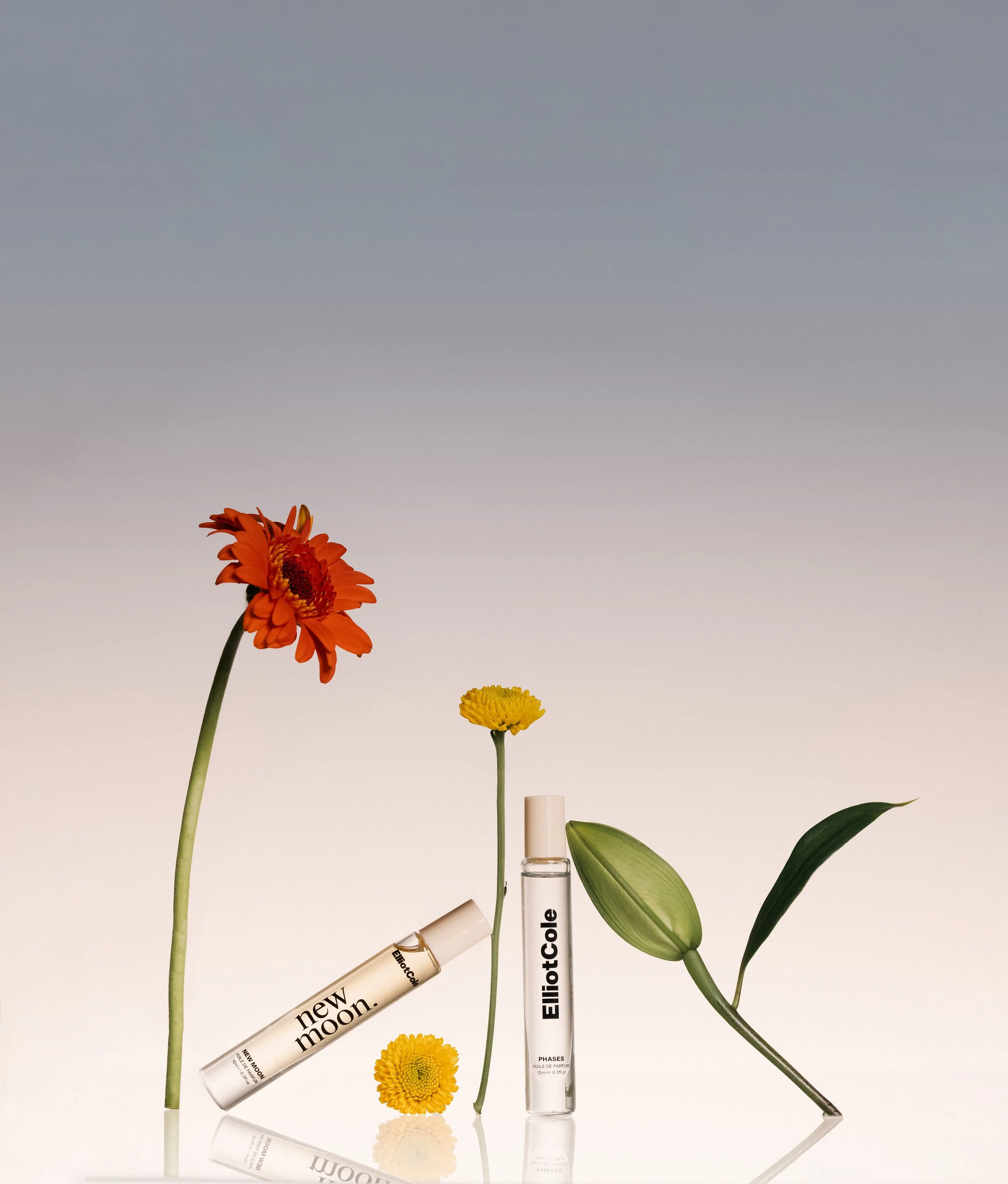 Three perfume bottles surrounded by flowers and leaves against a gradient background.