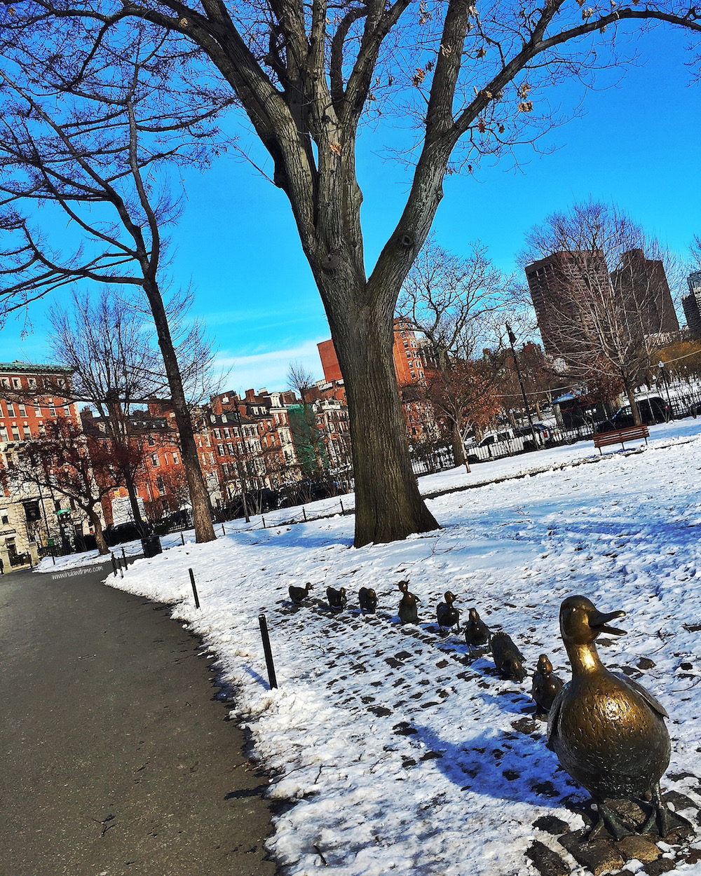 Boston Charm: Make Way for the Ducklings statue in Boston Public Garden.