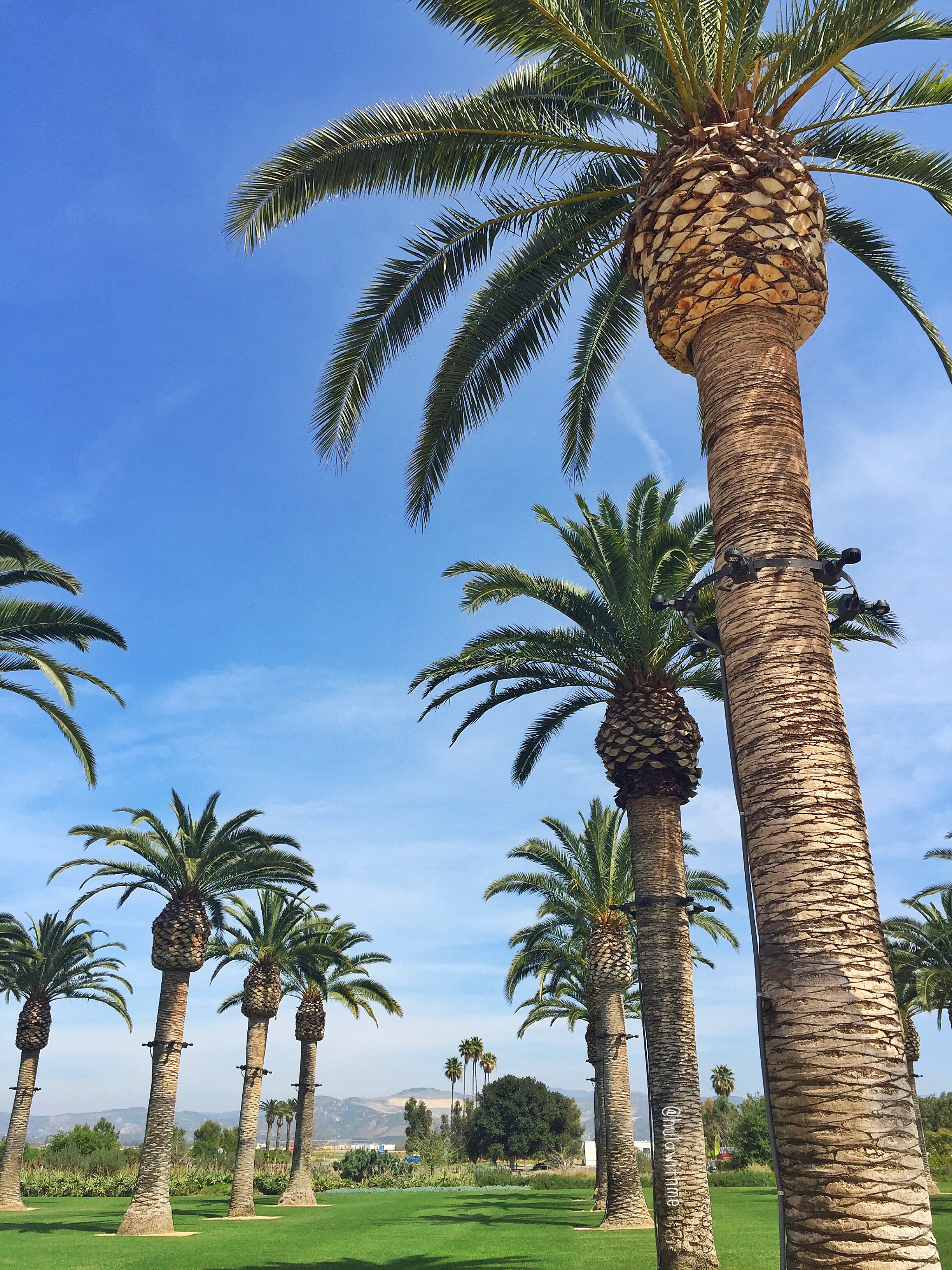 It's fun in the sun, but don't forget your sunscreen!