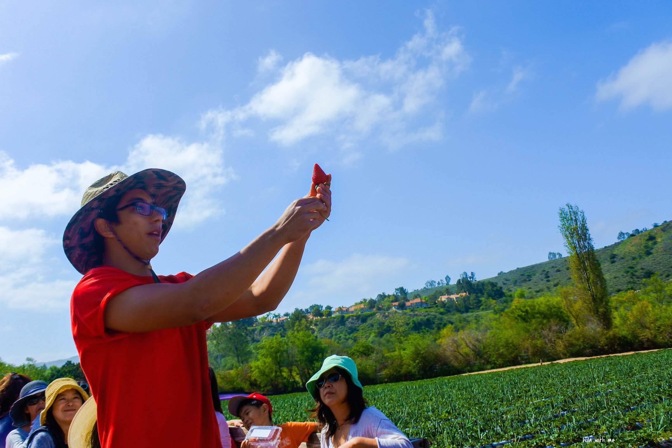 Learning about health benefits of strawberry.