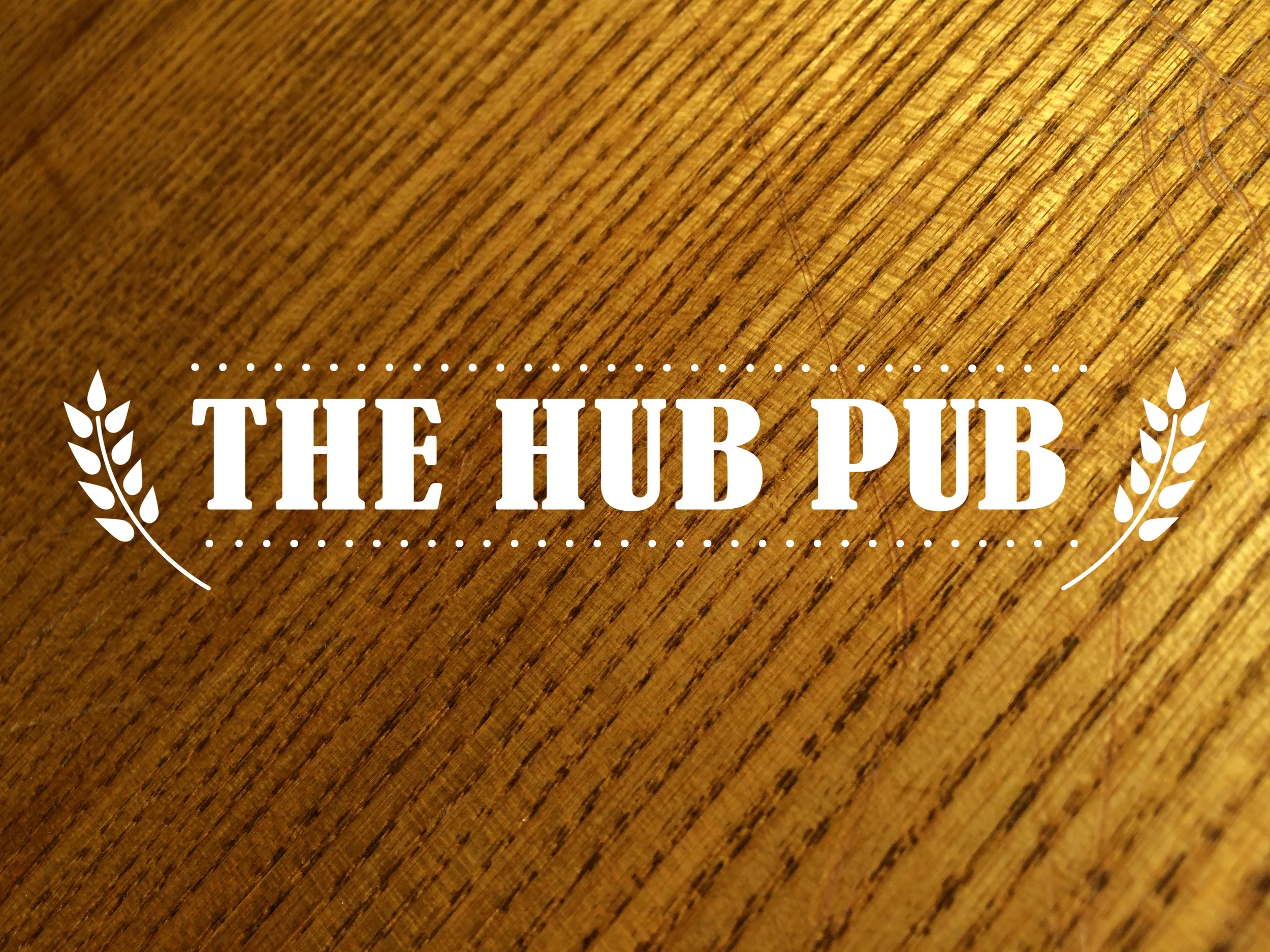 HUB_PUB_LOGO_horizontal_woodBG.jpg