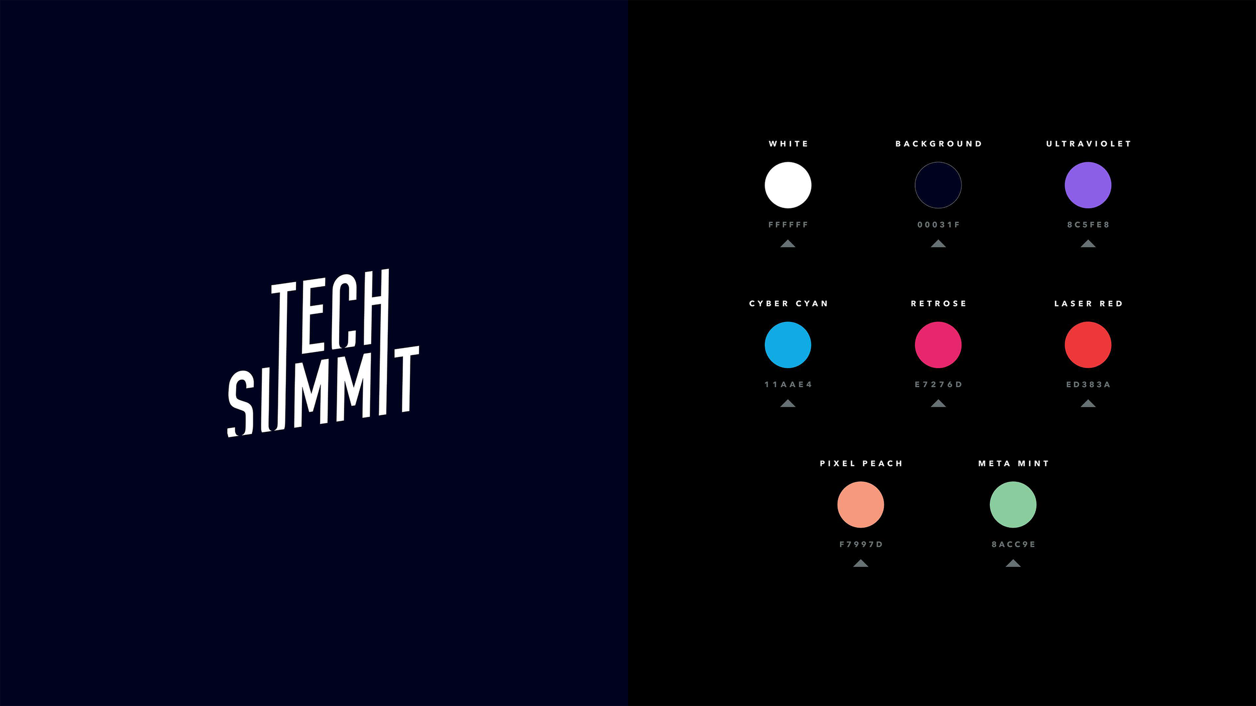 TechSummit2024_VisID_LogoColor.png