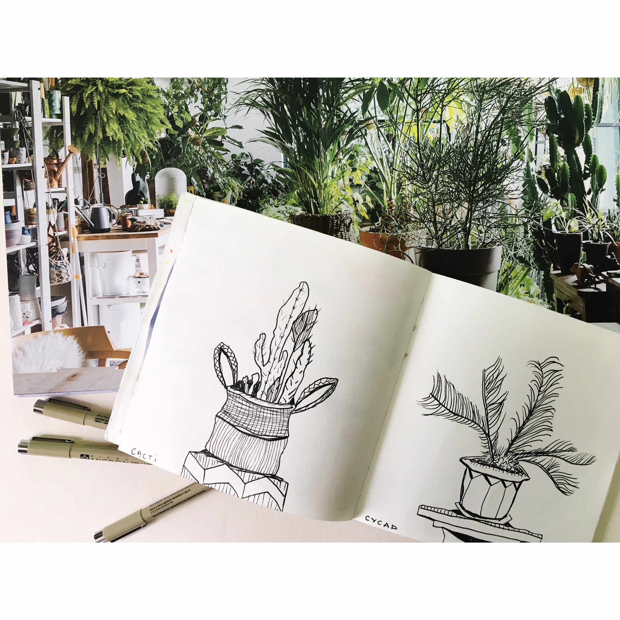 drawing plants.JPG