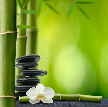 iStock_000007728171XSmall.jpg