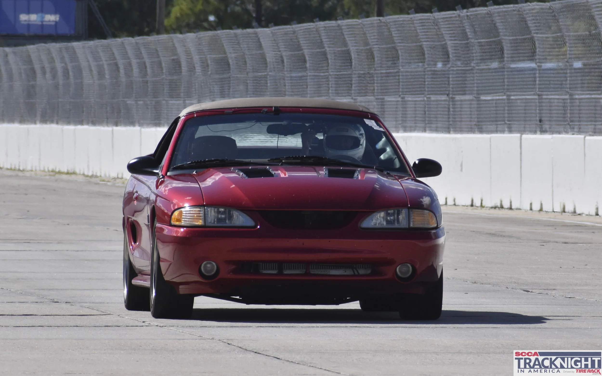DSC_0351.jpg