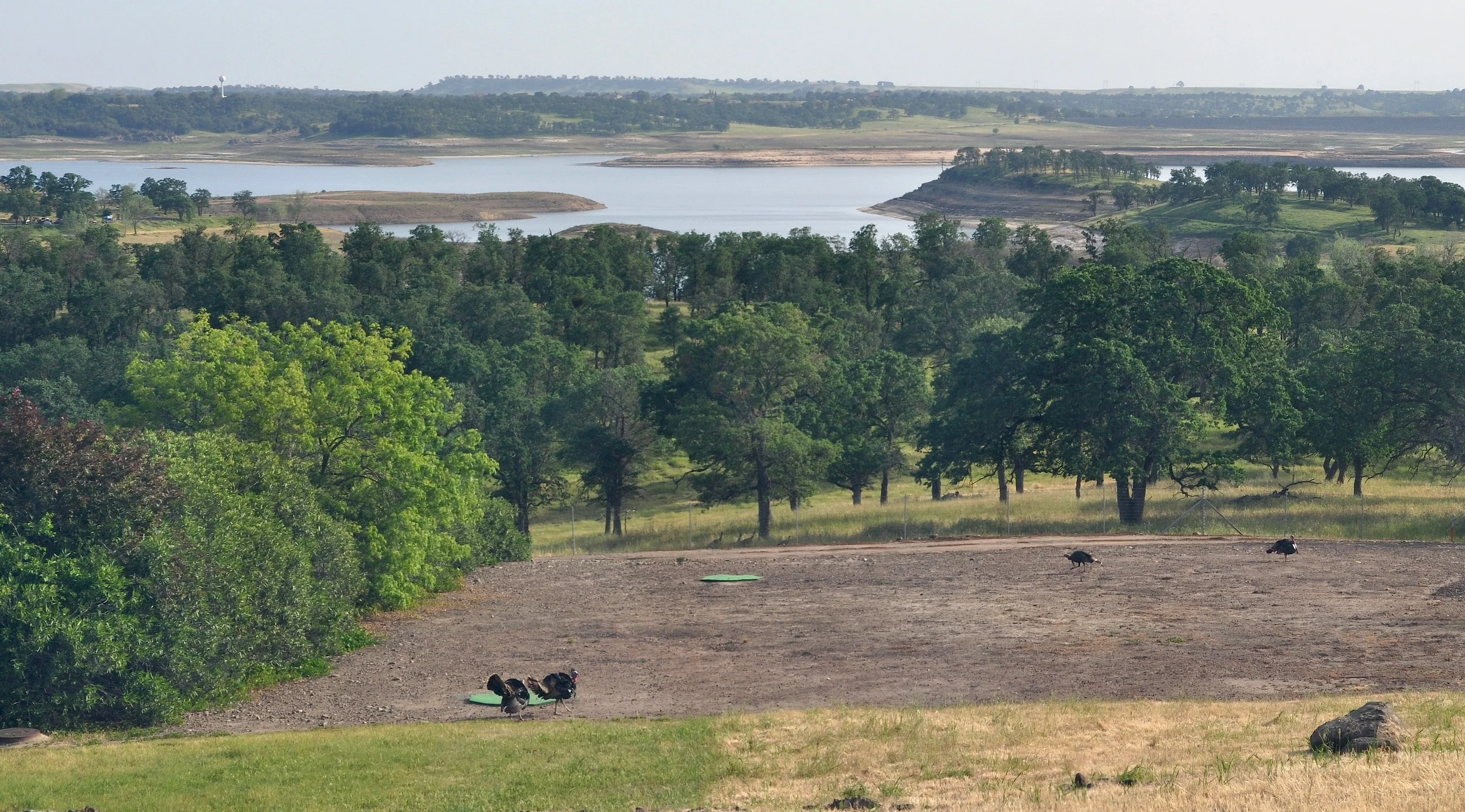 Watershed Witness Tour ~ Discount