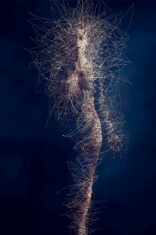 Body Microbes ~ Bruno Vergauwen