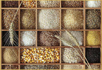 Whole Grain Stock Photo