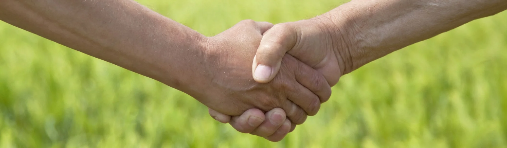 farm-handshake.jpg