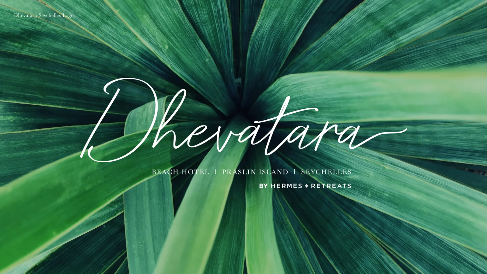 Luxury-Hotel-Branding.jpg
