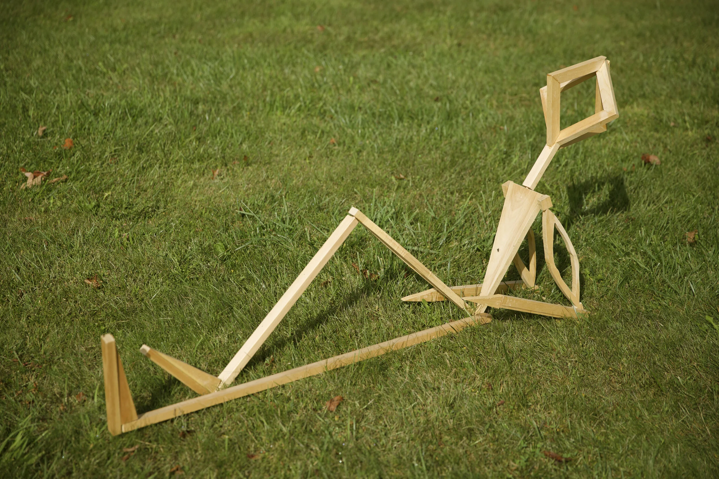 The Man_NAOMS_000.jpg