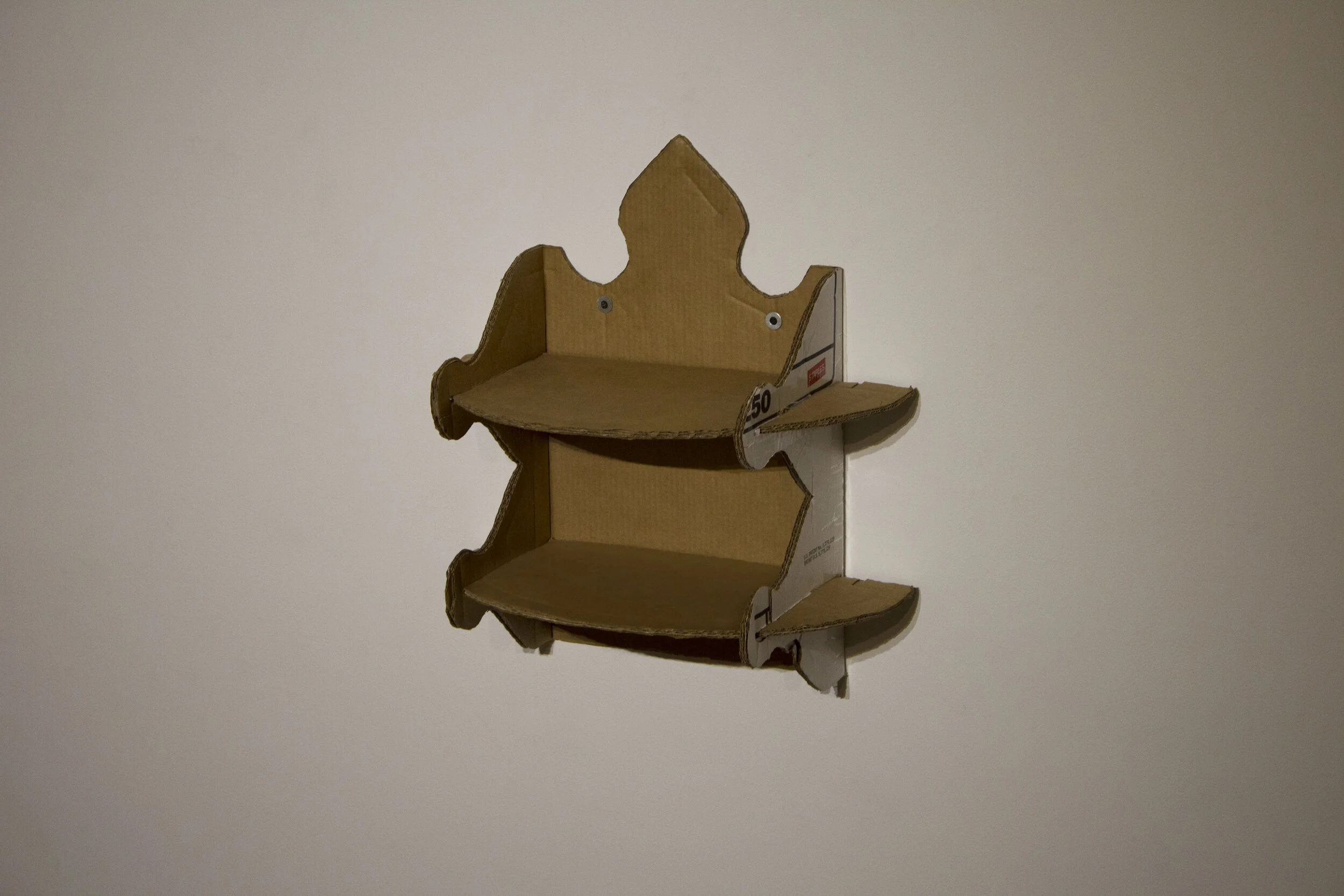 Shelf_Photo_NAOMS_004.jpg
