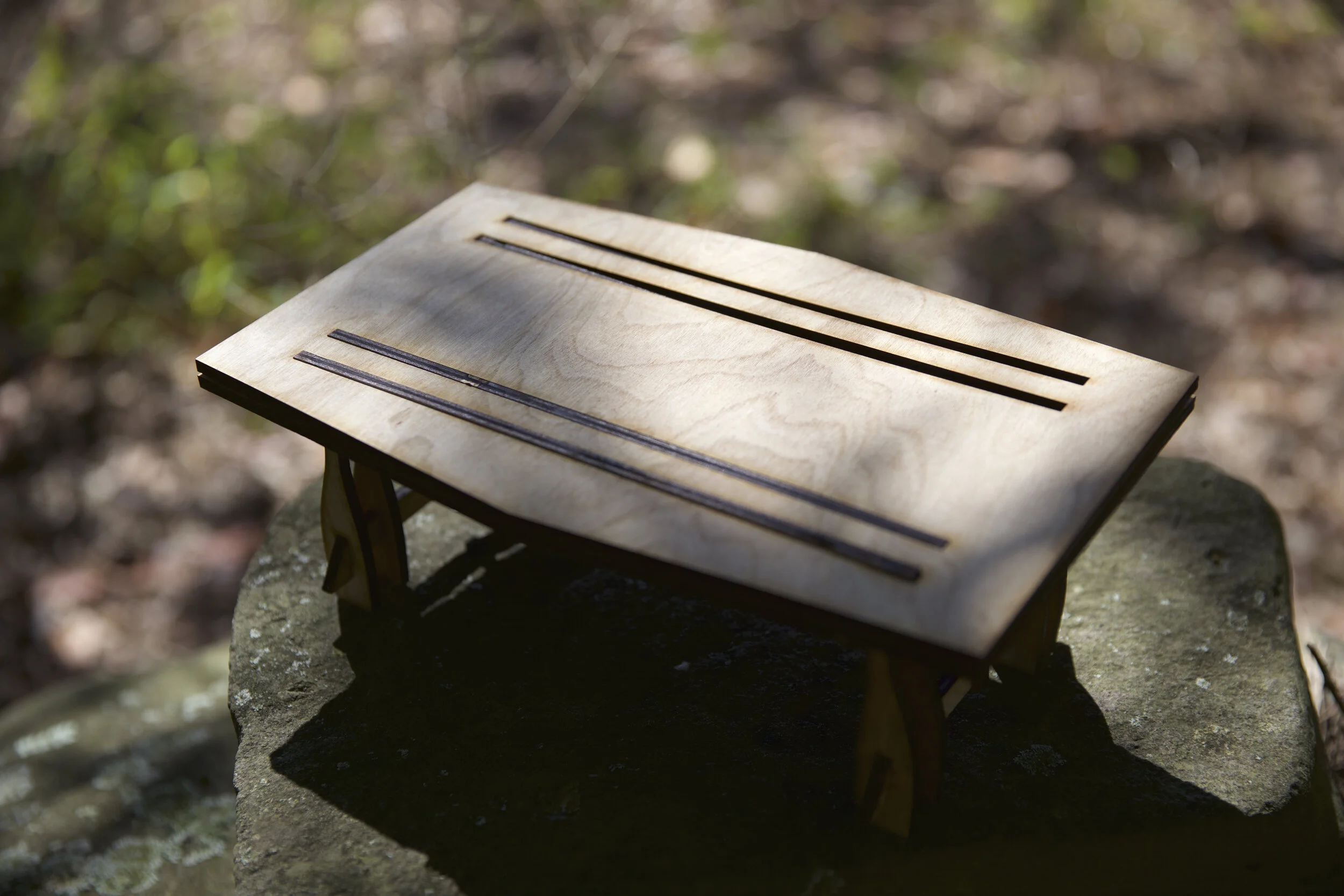 Table_Photo_NAOMS_001.jpg
