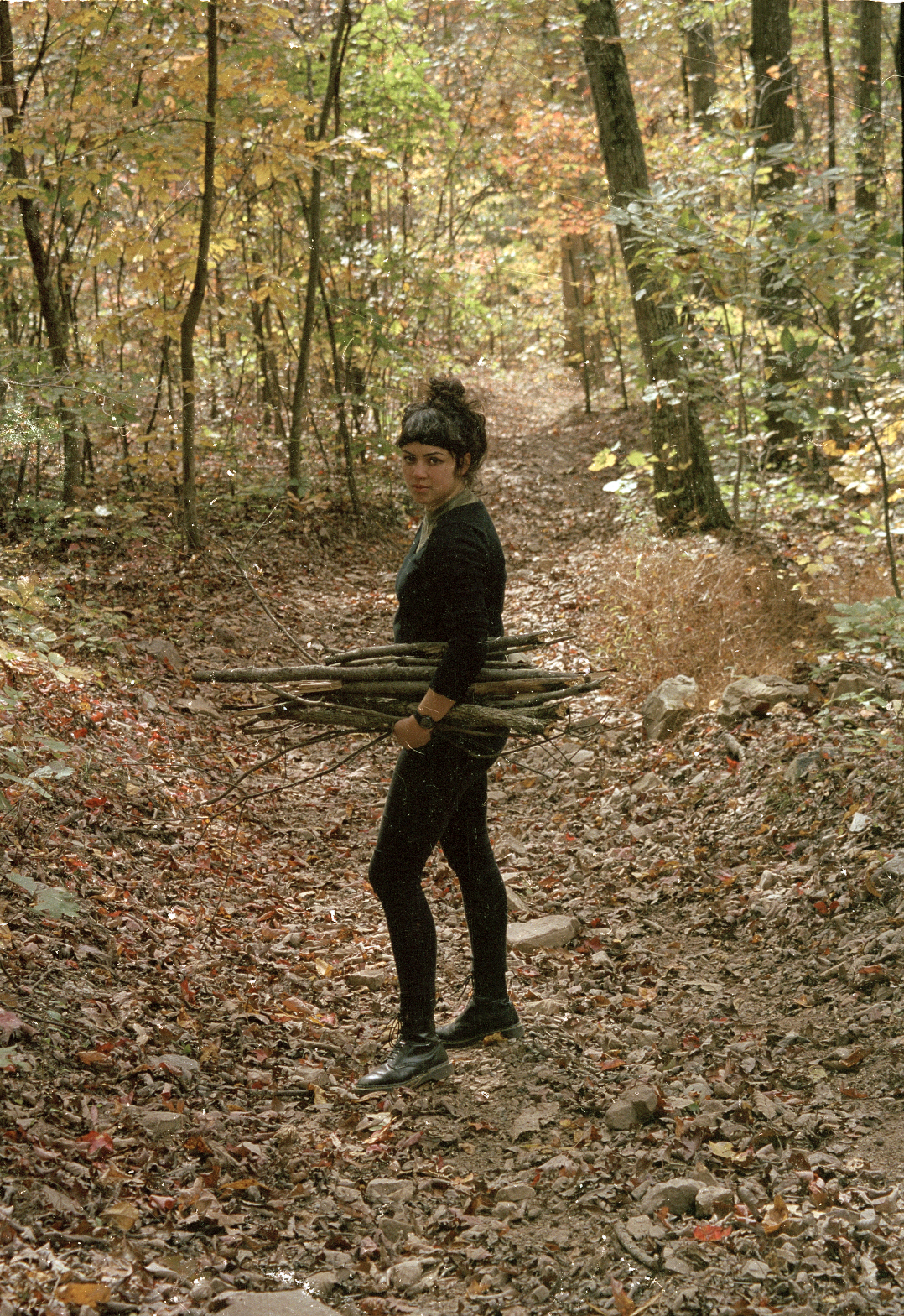 Nina, Pocahontas County, 2014