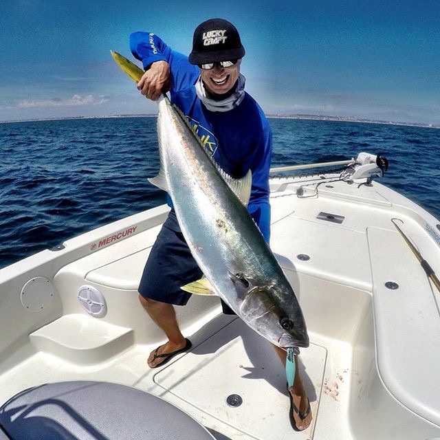 Brent with a 30 pound class Yellowtail on a Surface Iron! photo:Go Pro Hero 4 Brent Erhler