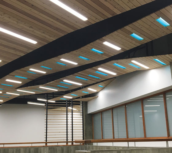 Oceanography Building Architectural Ceiling Goldeneye Inc - How To Light An Exposed Beam Ceiling In Revit