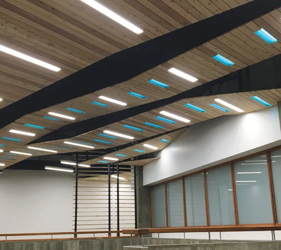 AirelightArchitecturalCeiling.jpg