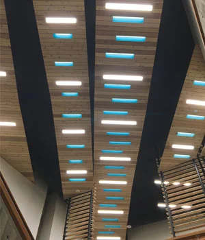 AirelightArchitecturalOceanographyBuildingCeiling.jpg