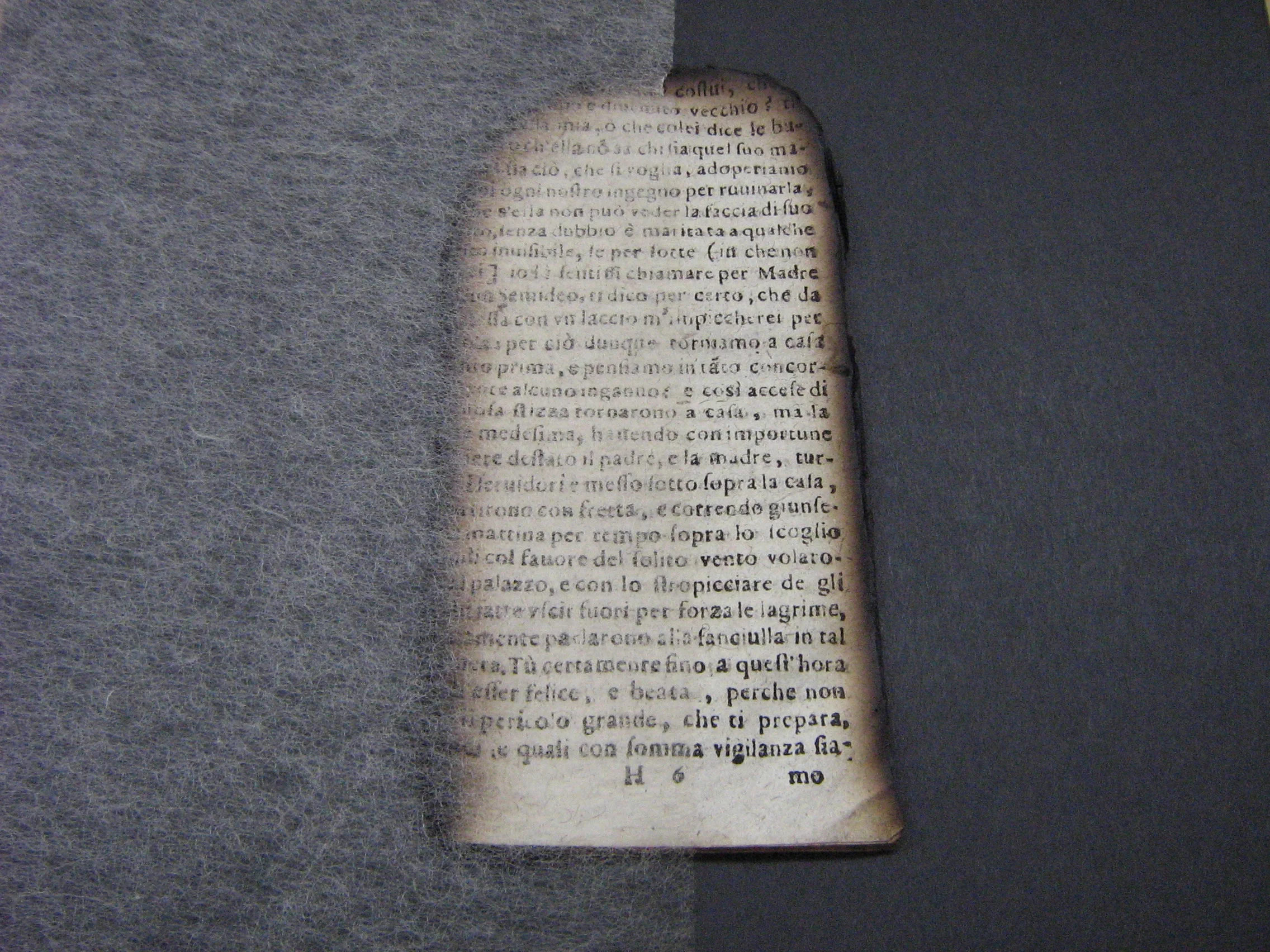 （財）パンフ用写真 009.jpg