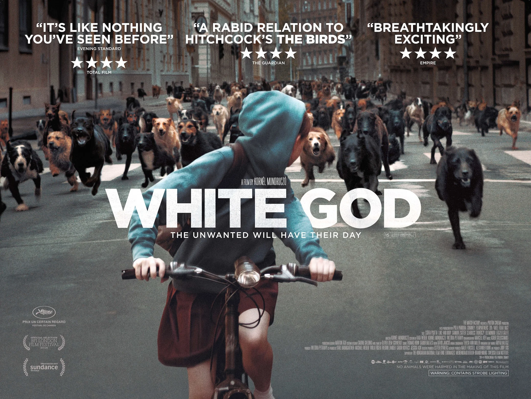 WHITE GOD FILM REDEFINES AN ANIMAL'S RELATIONSHIP TO HUMANS.