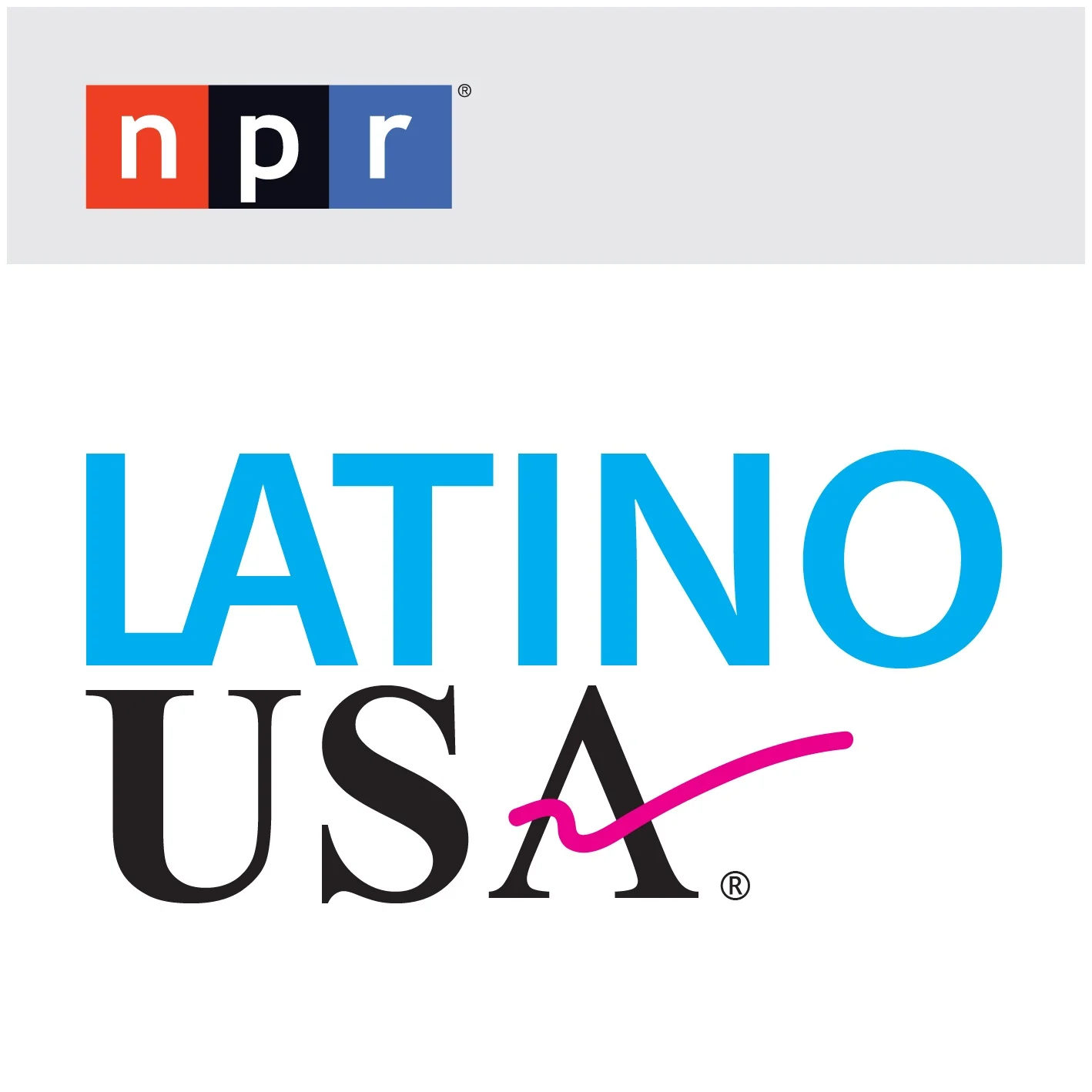 NPR'S LATINO USA : THE THREE BURIALS Interview with actor Julio Cesar Cedillo  
