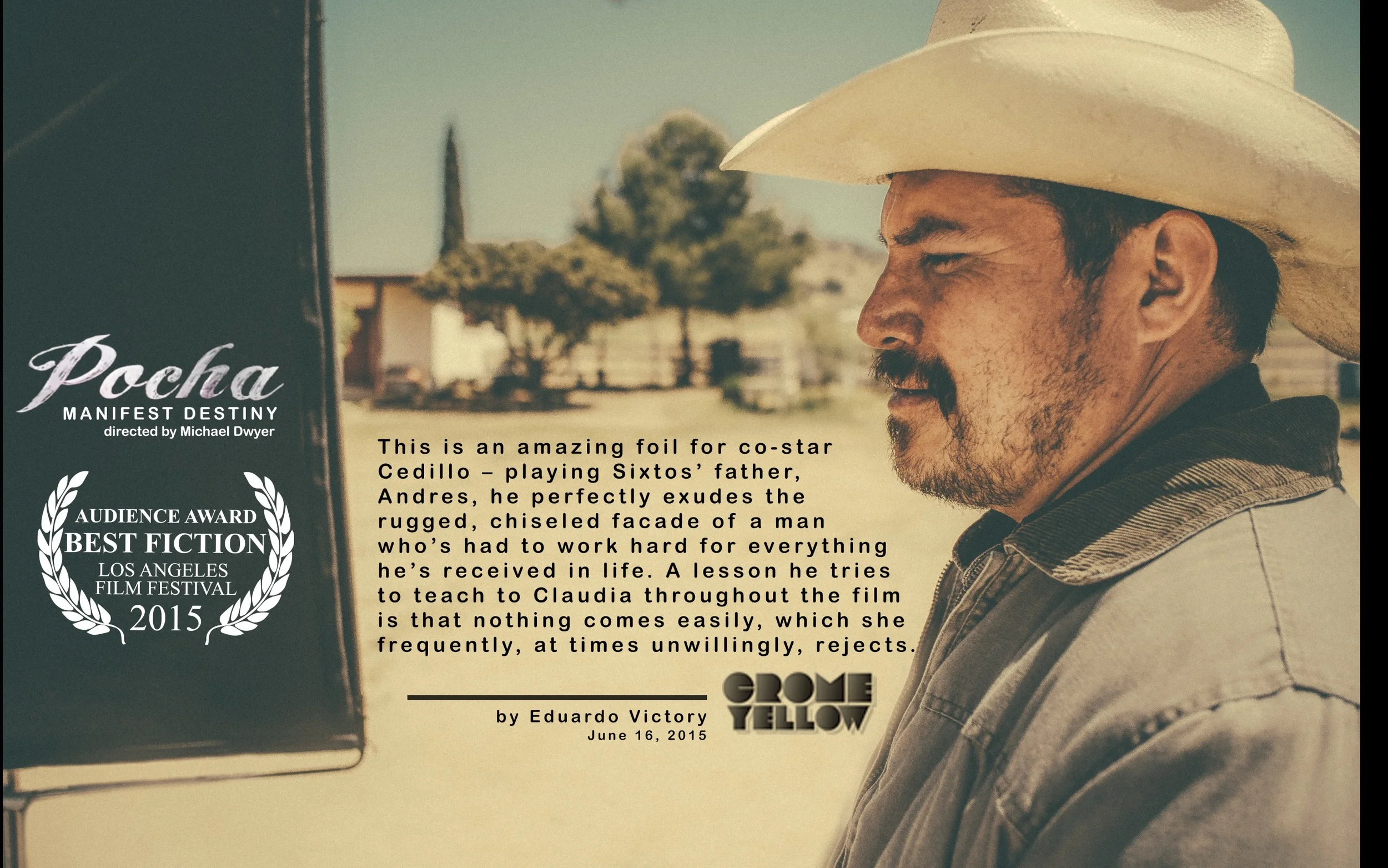 LA FILM FEST 2015 REVIEW : POCHA.