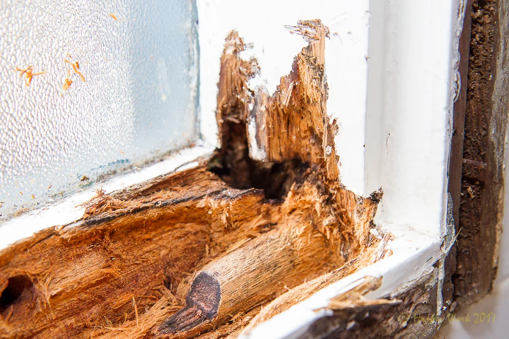 Wood Rot & Termite Repairs — Handy Work