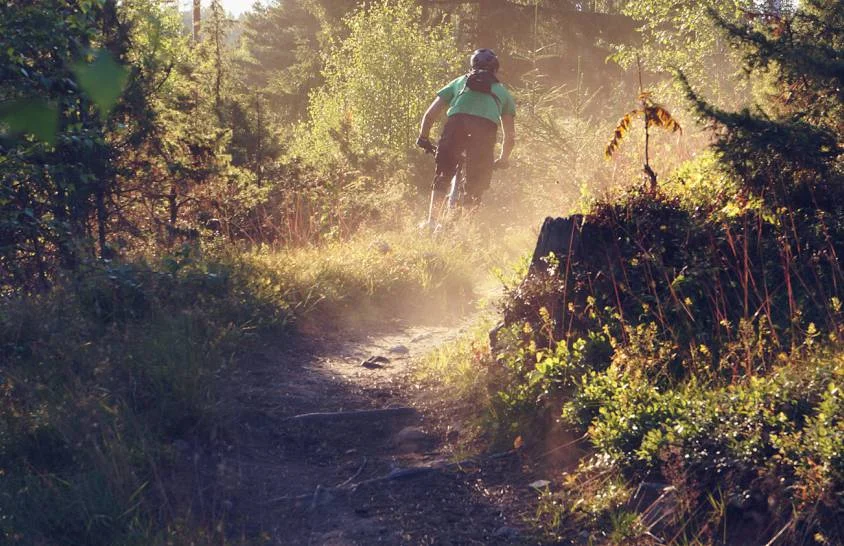 Lugnets röda & blå