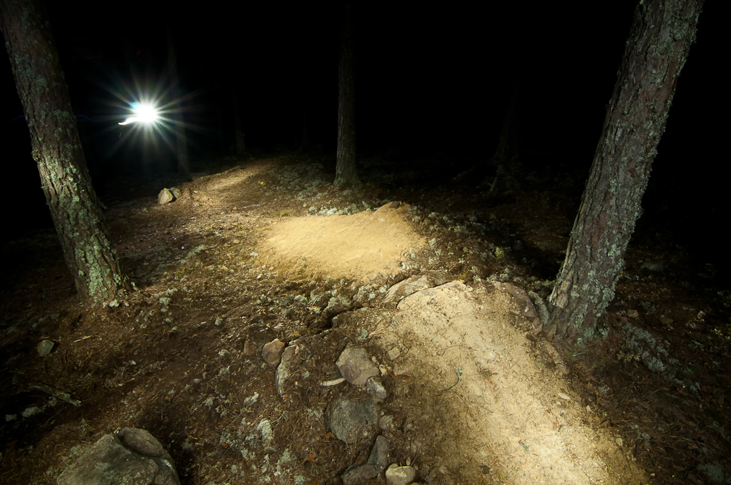 Källvikens Svarta – Baksidan