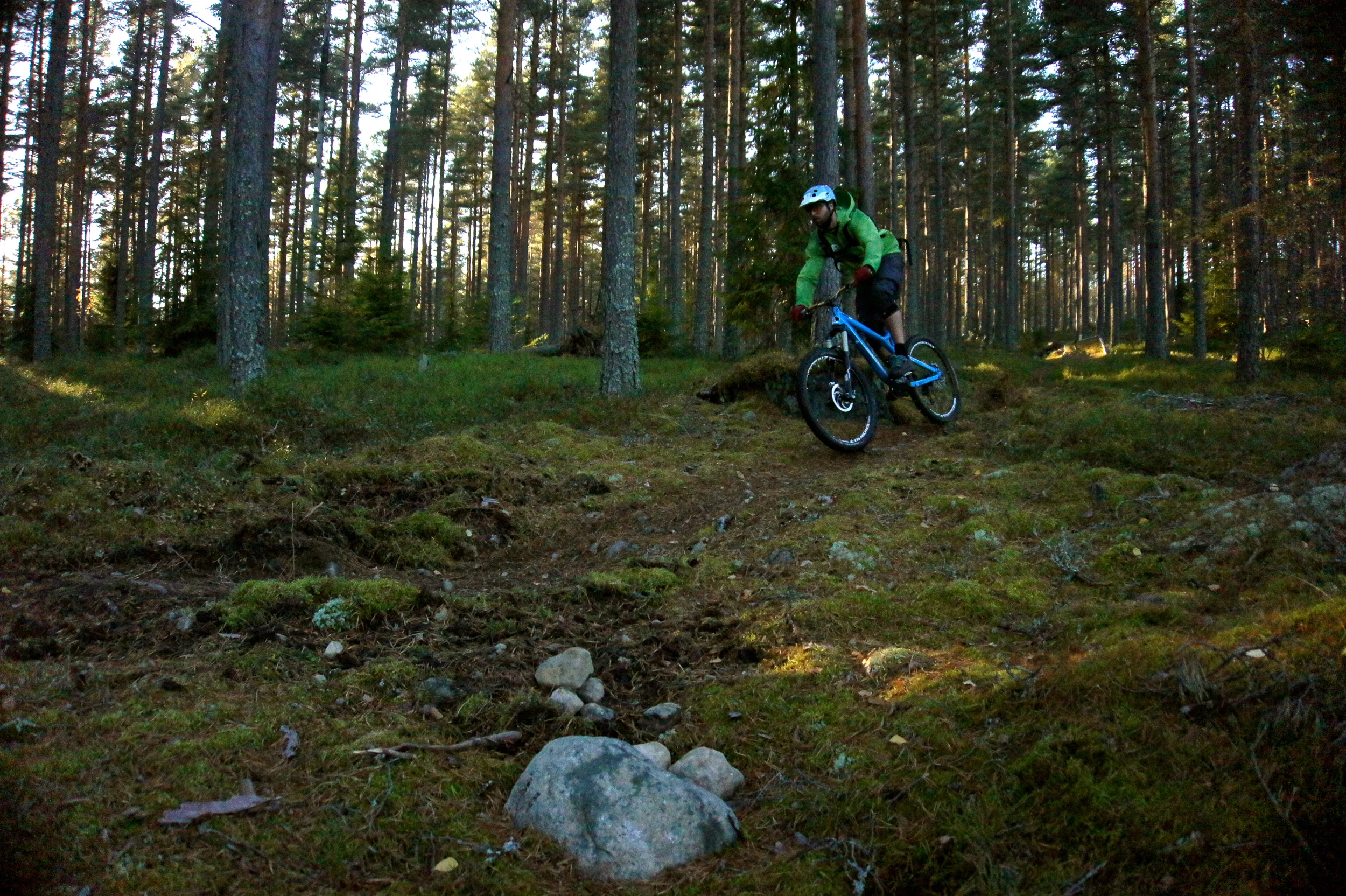 Lostenen, Skuggarvet