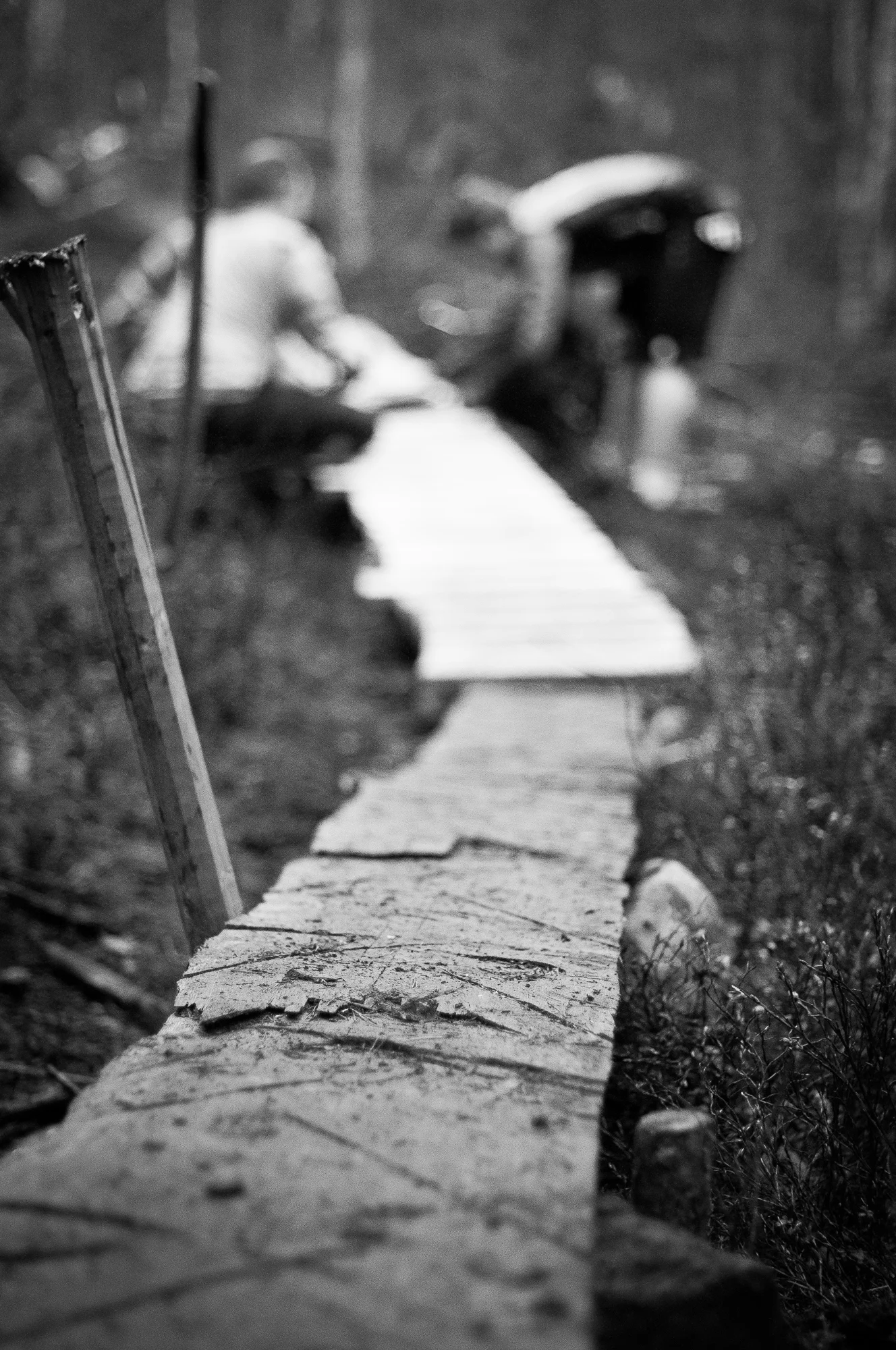 En svartvit kväll på Lugnets Röda