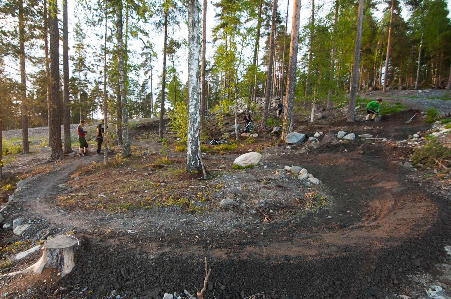 Vackra kurvor i solnedgången.