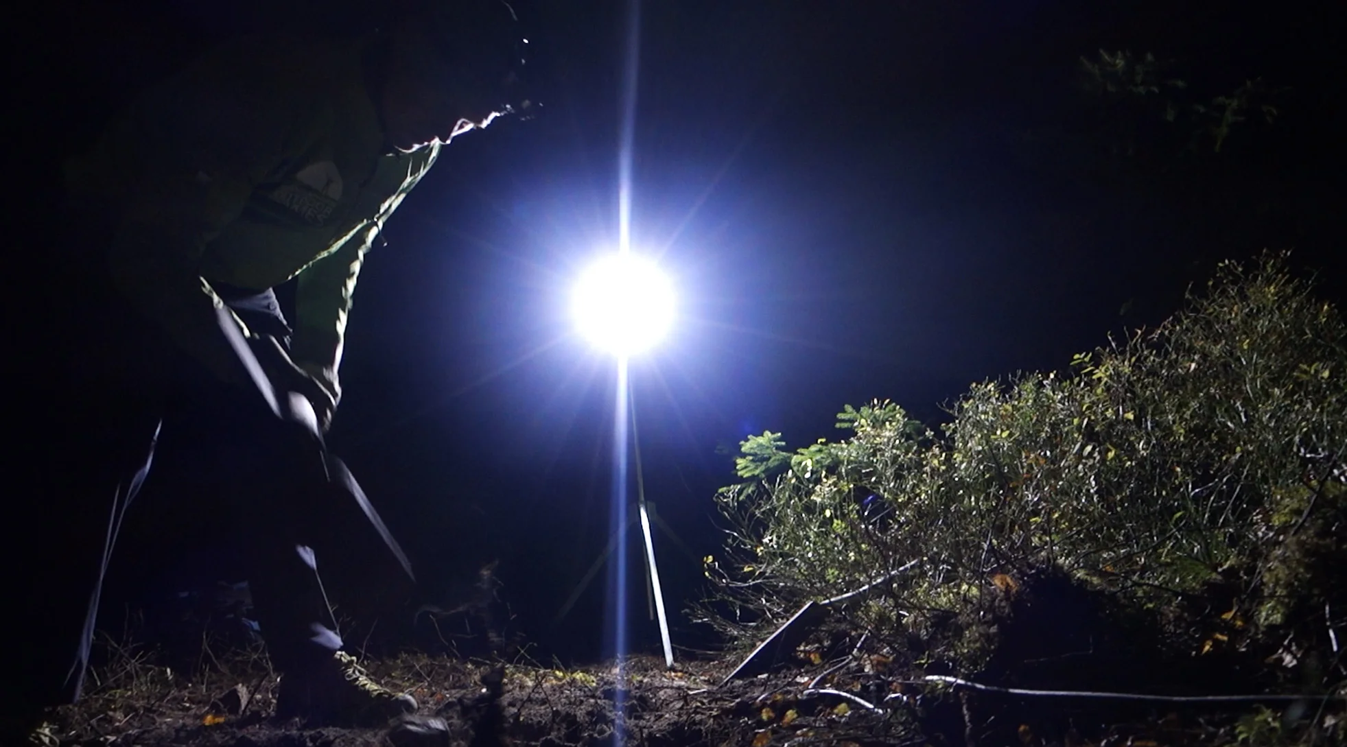 Vår bästa tid är nu